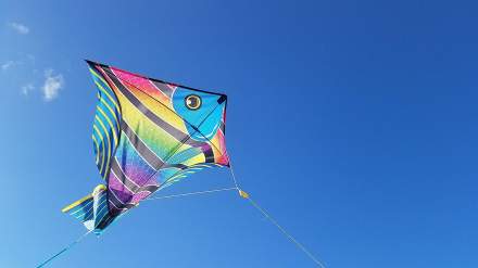 Week-end en Baie de Somme dans les Hauts de France